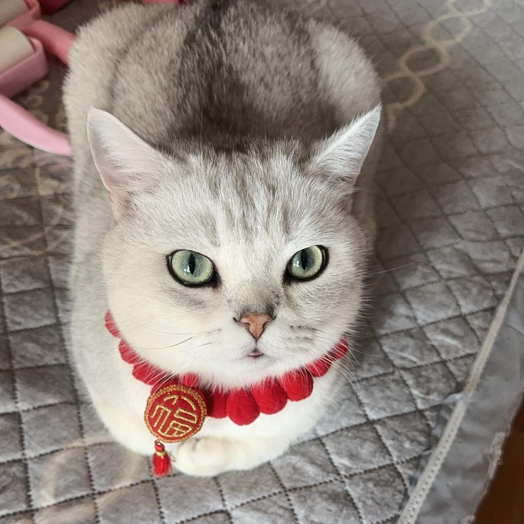顺心如意