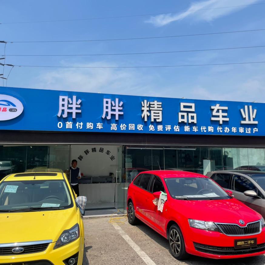胖胖严选二手车
