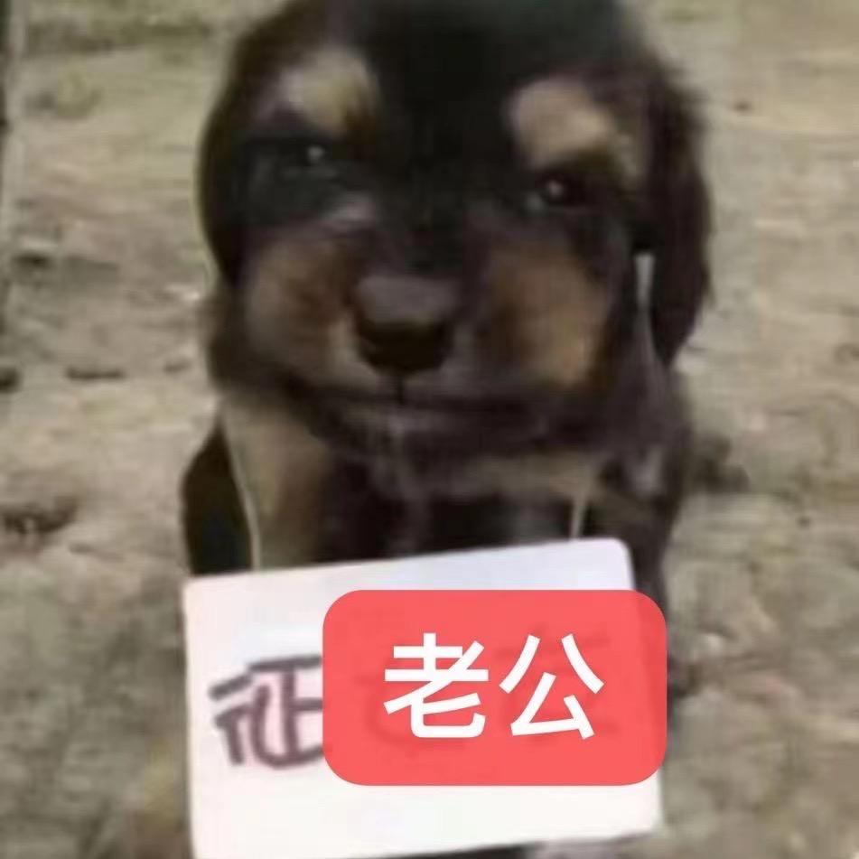 小阿姨大导演（全网同名