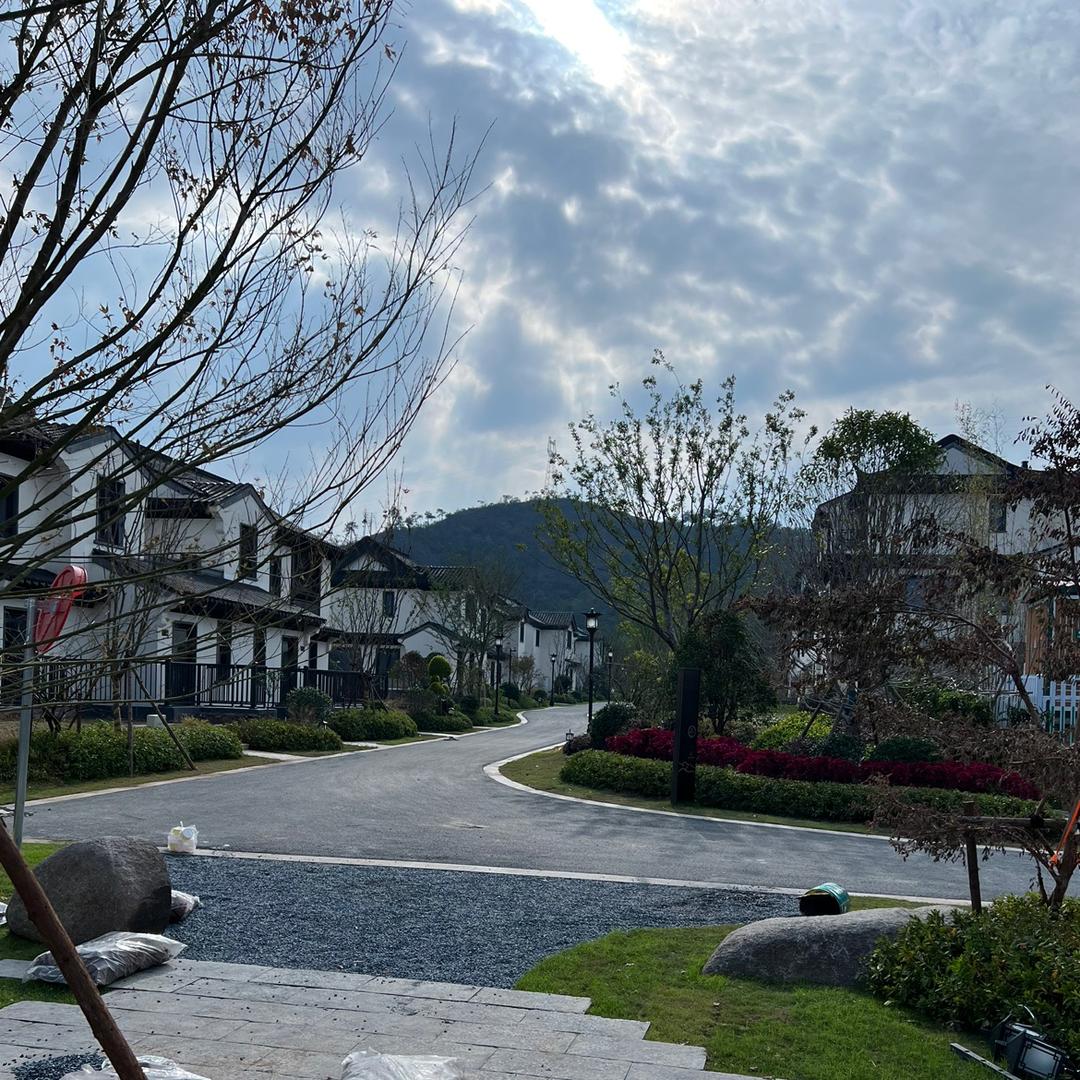 歌的岁月