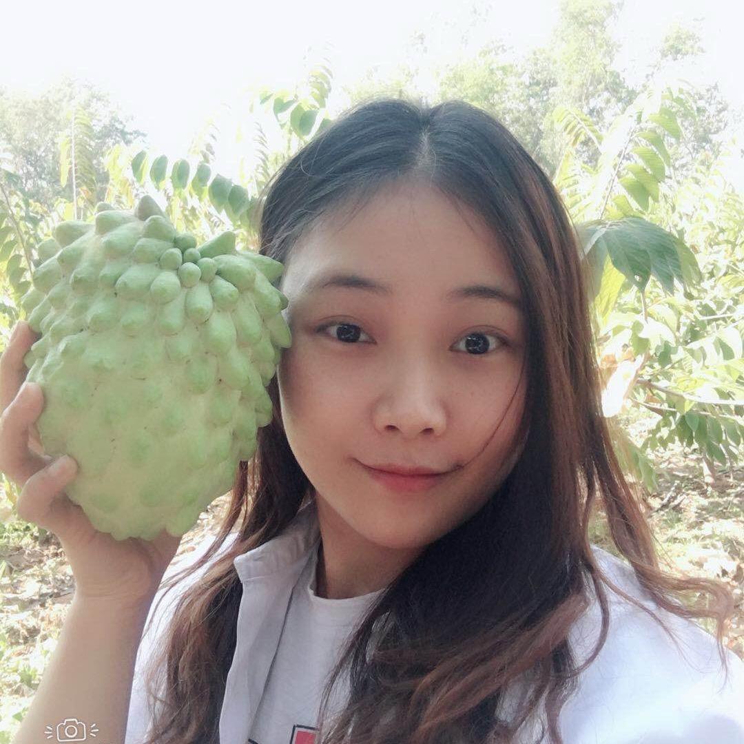 邓子（果品供应链）