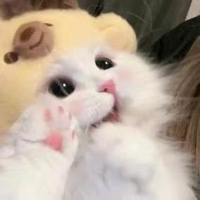啊祖