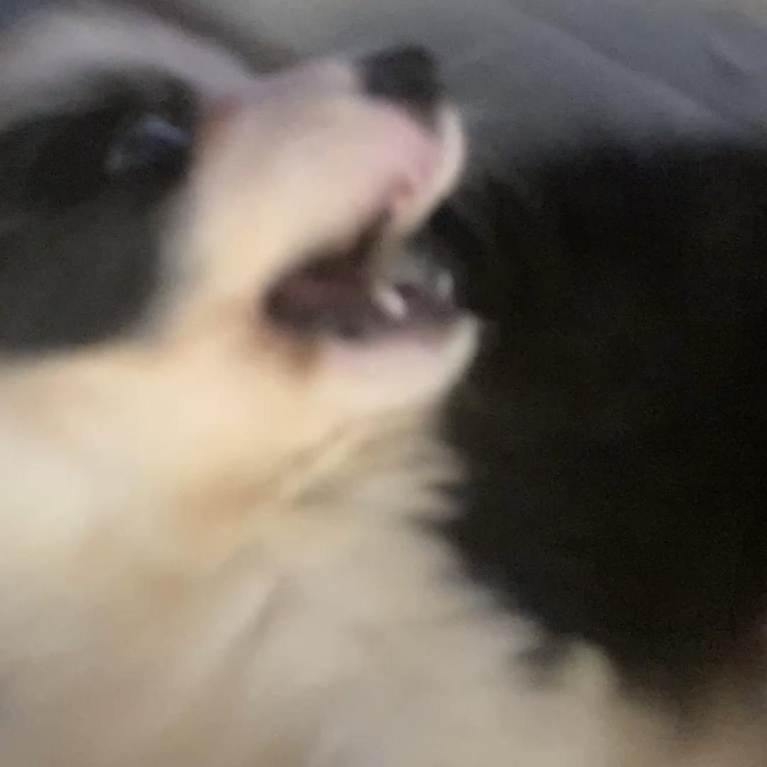 萄炾