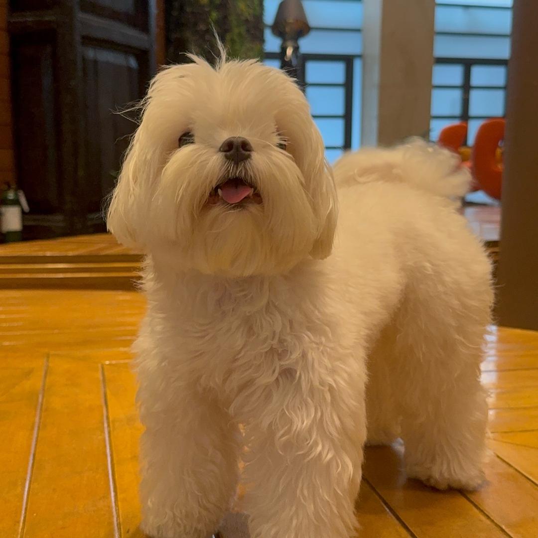 独孤孤