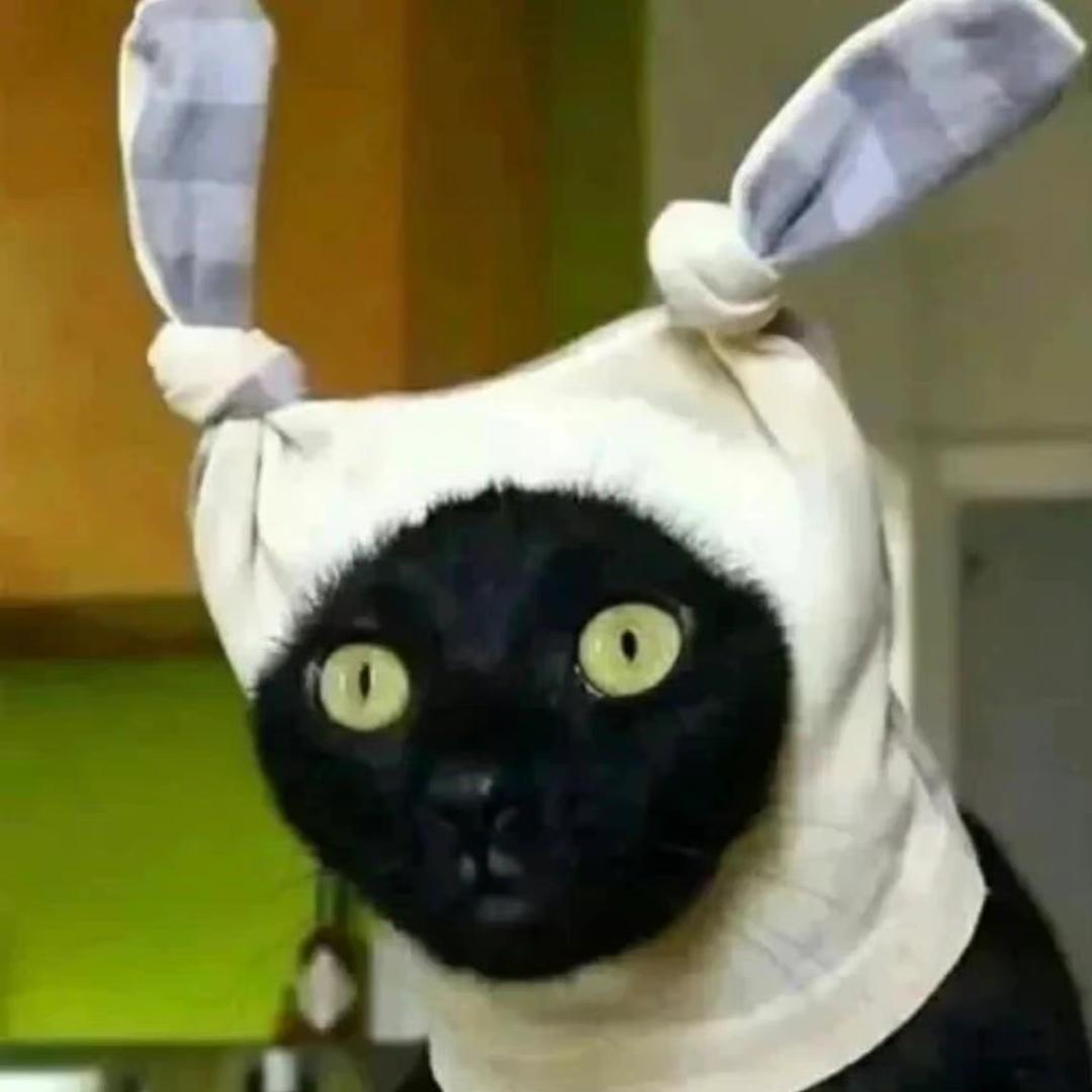 乌昂子