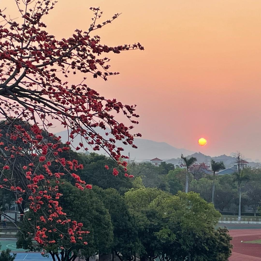 万花盟主
