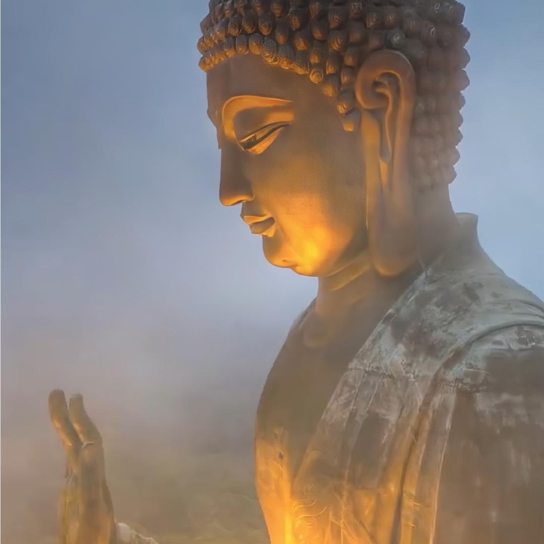 毒刺.