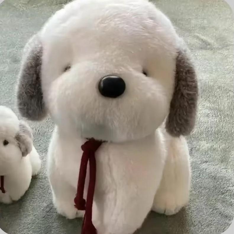 人傻嘴不甜走道栽楞还没钱.