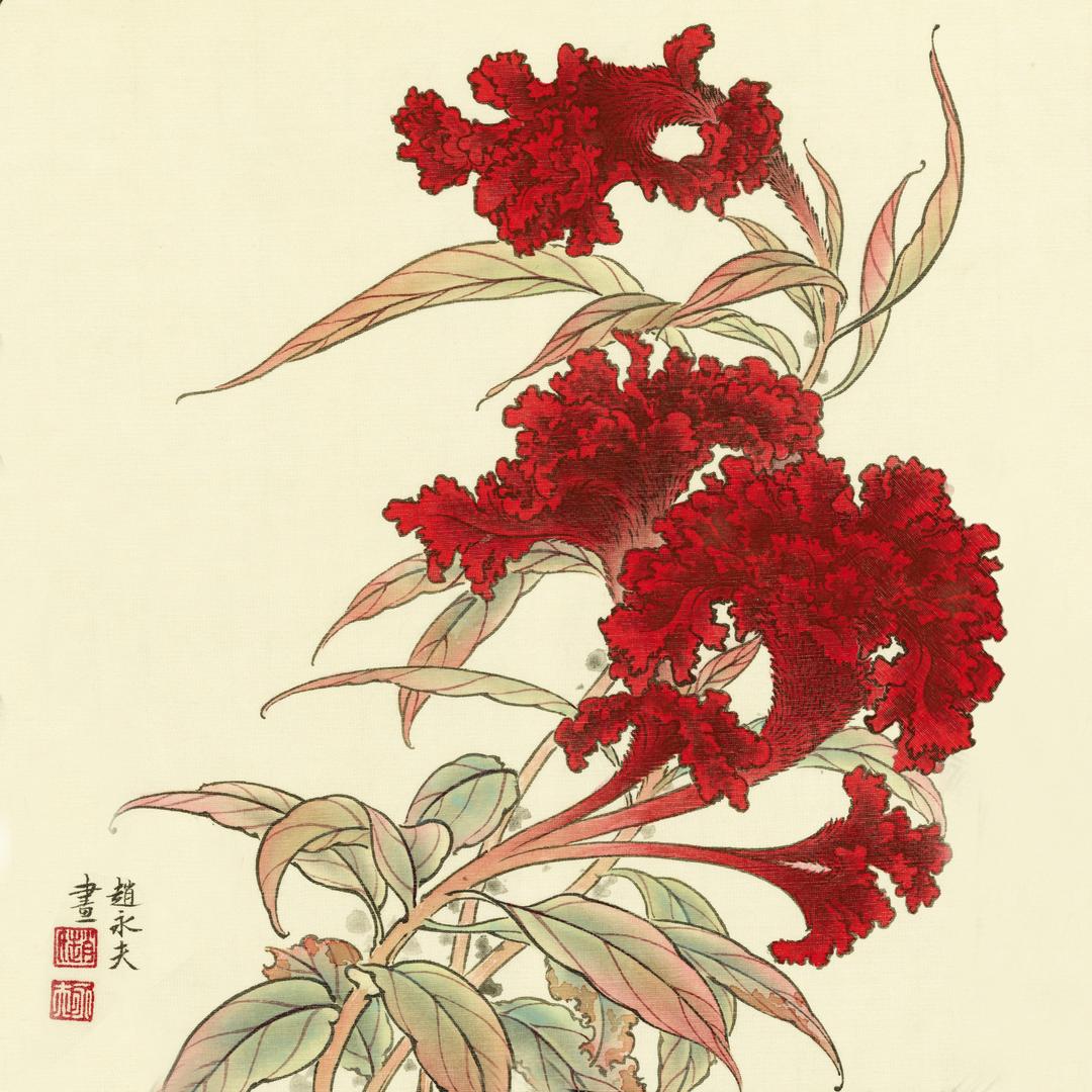云鹤轩
