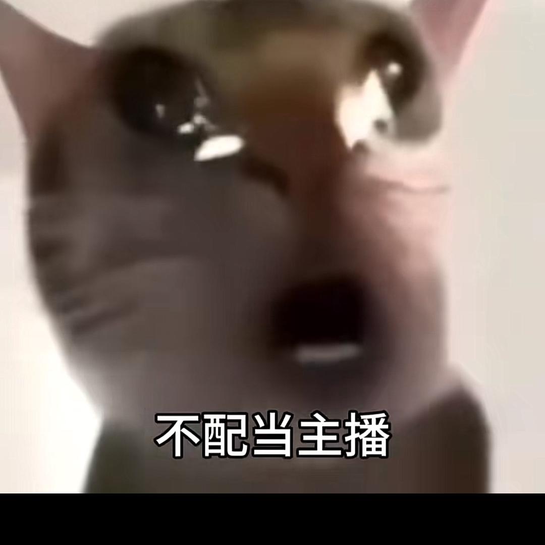 吉祥物