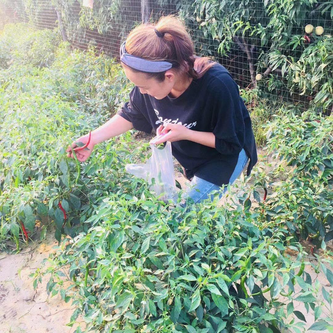 小七的生活片