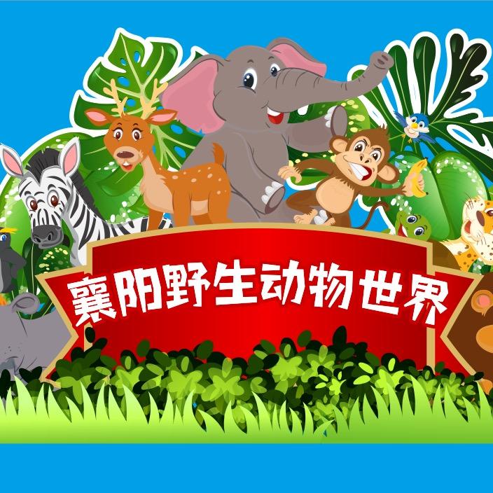 襄阳梦幻森林动物世界