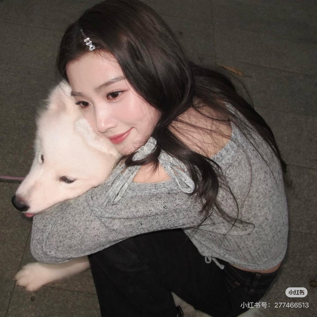 小狗不想吃骨头.