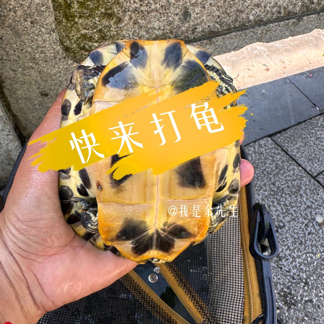 我是余先生-路亚野钓