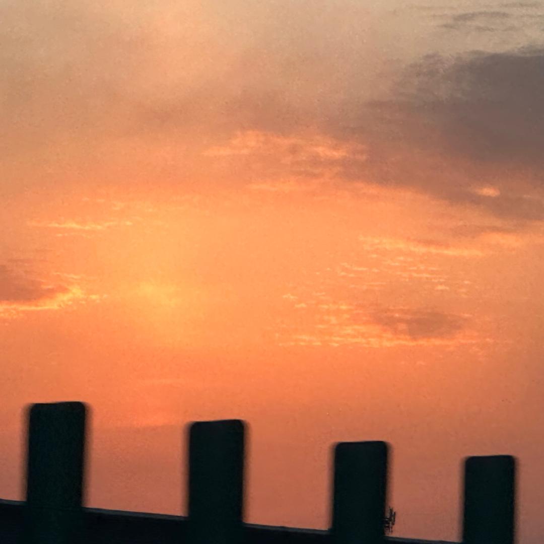 zhengxiaomin16