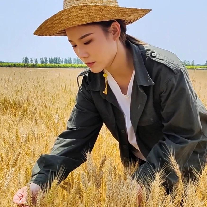 刘洋.