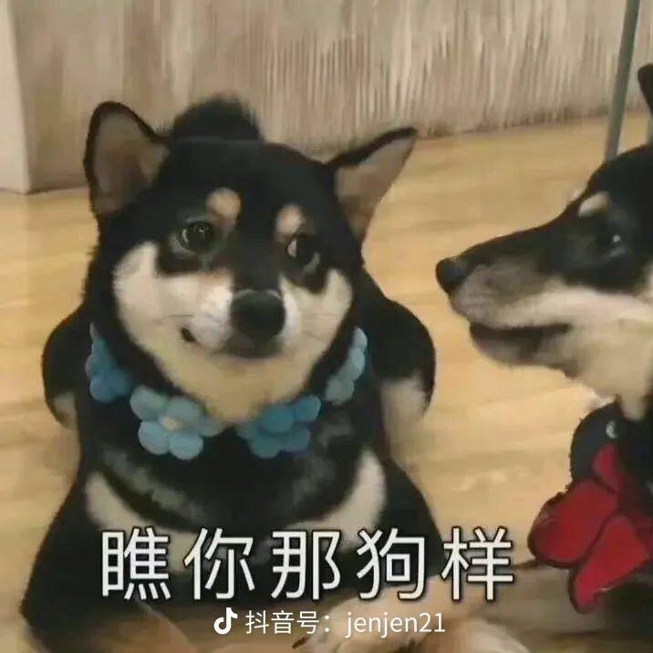 可乐味的泡🍜
