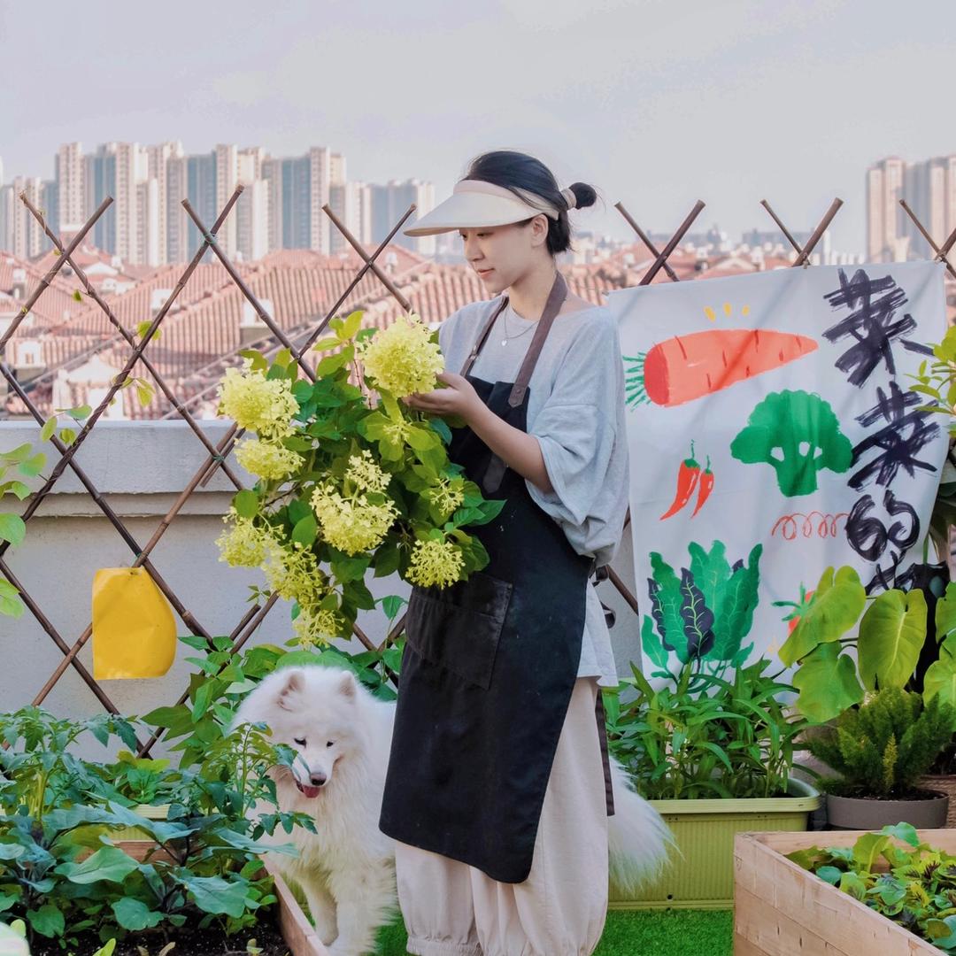 是菜菜呀