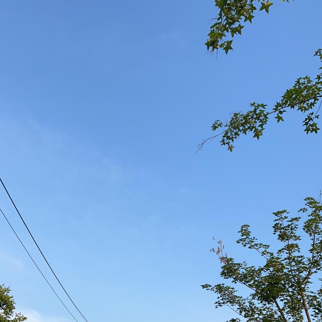 嵩山少林刘建社