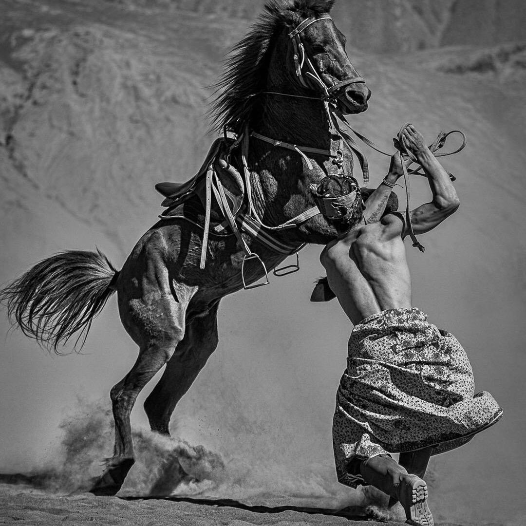 旭鑫玩具🧸（招车位）