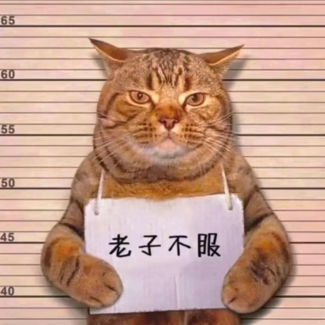 不会投三分