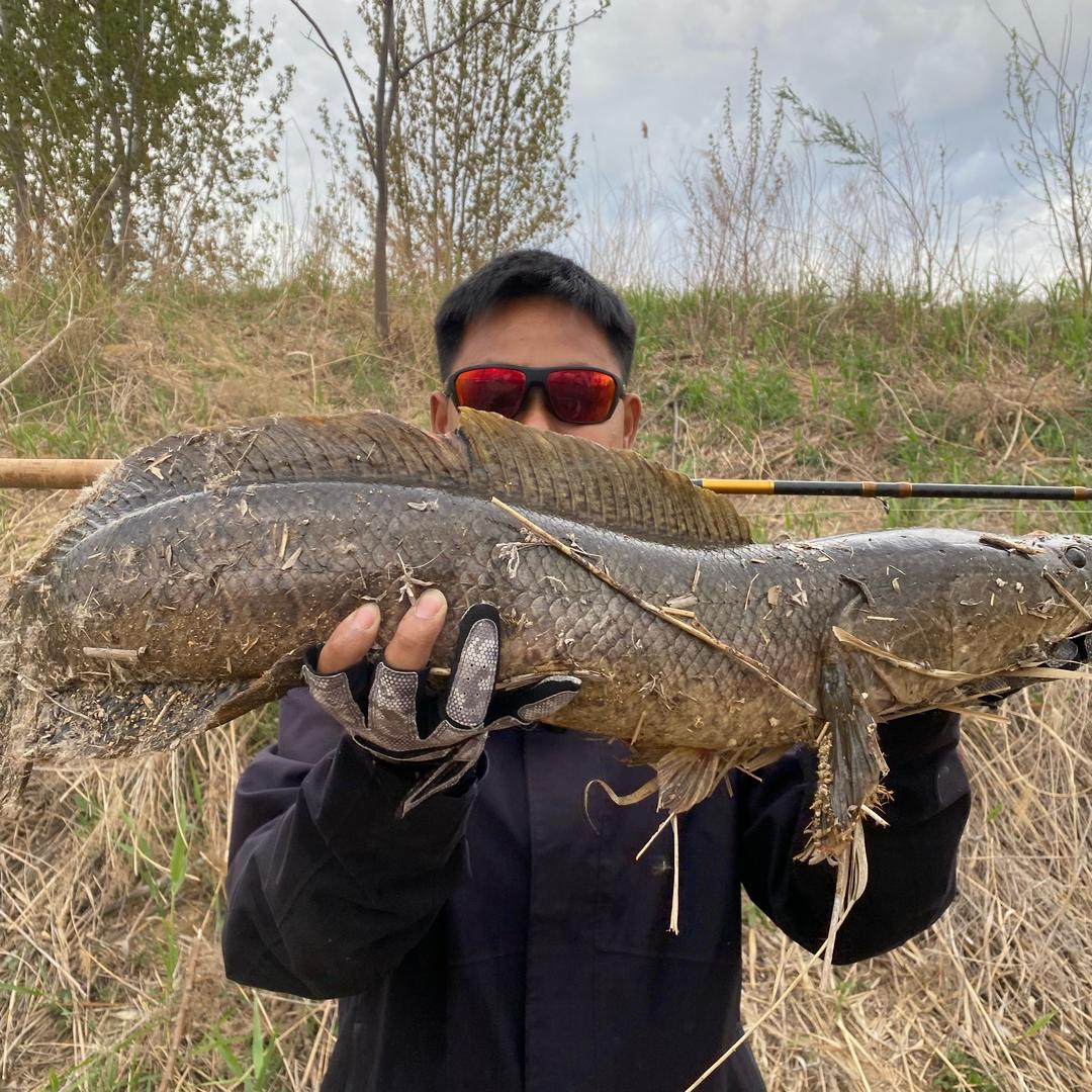 姜龙龙 露亚版🎣