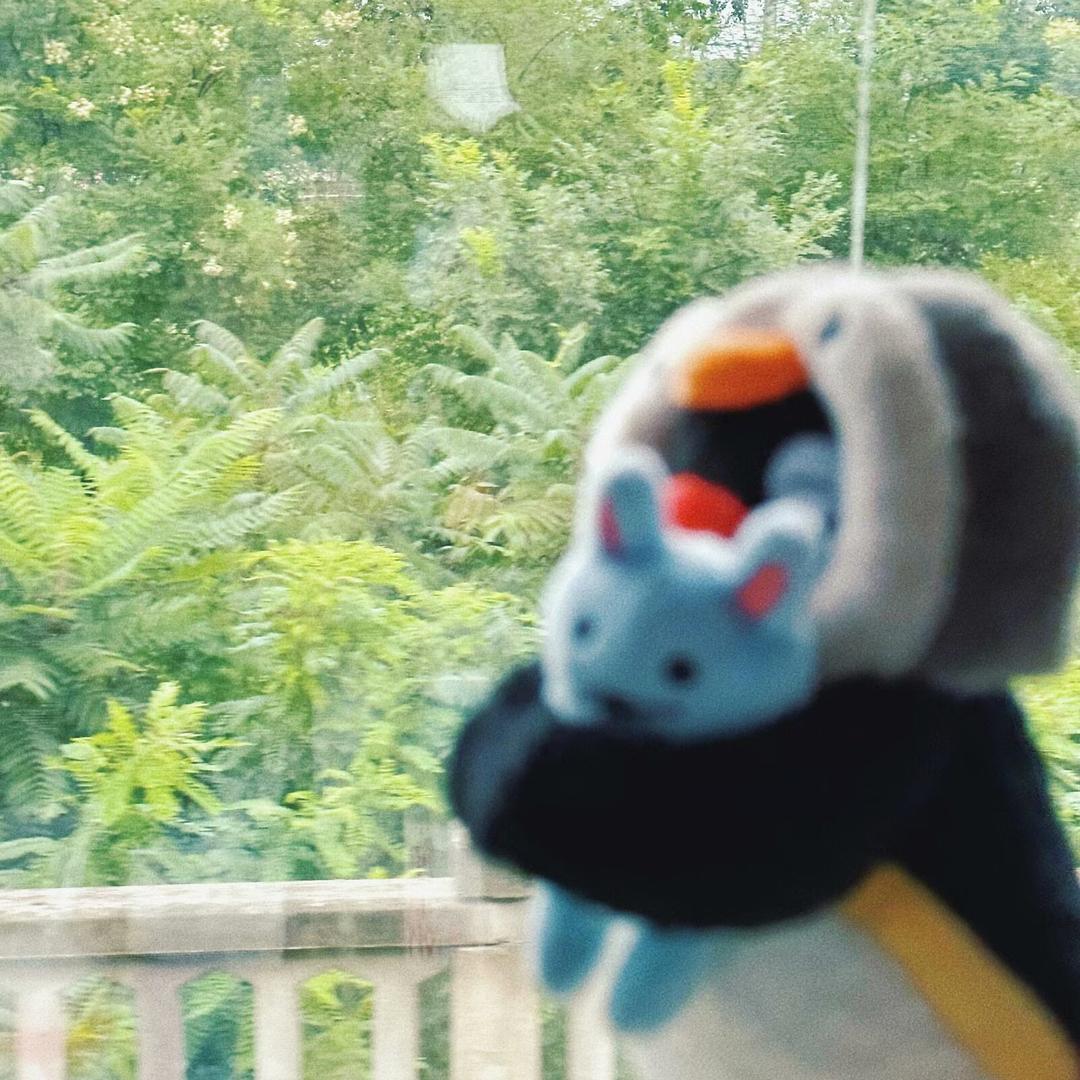 世界上没有第二个我