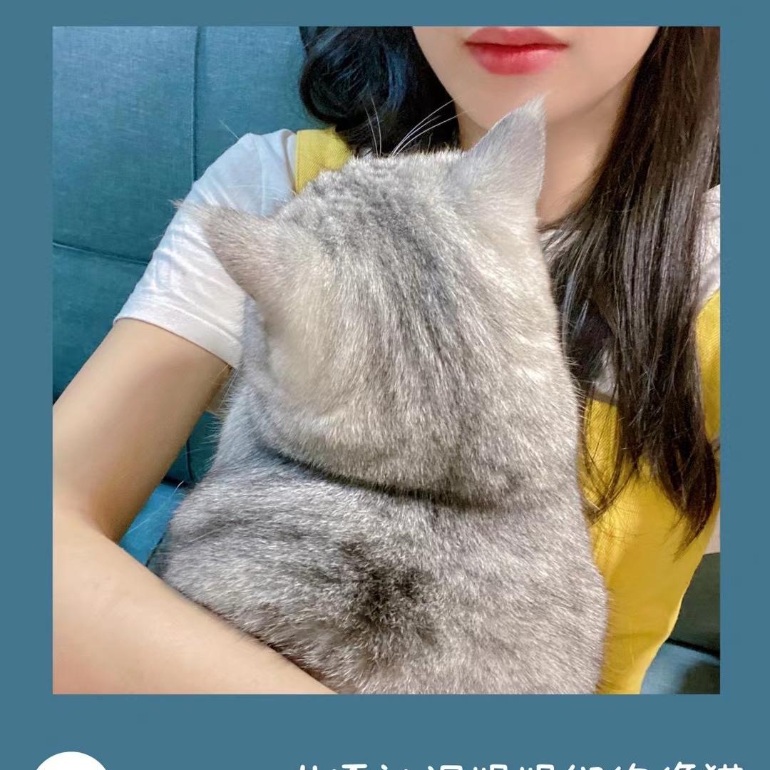 孔武有力小旺崽