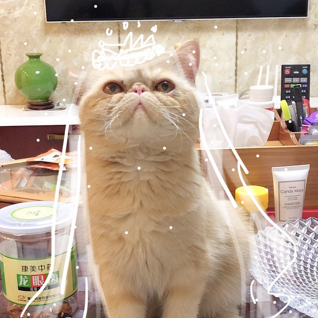 杨憨憨