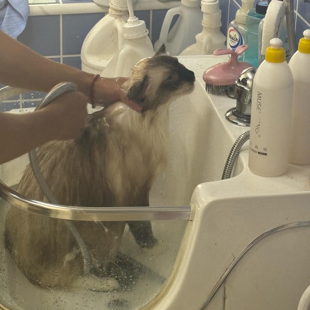 临鸢ʟʏ