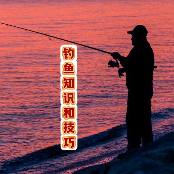 钓鱼知识和技巧