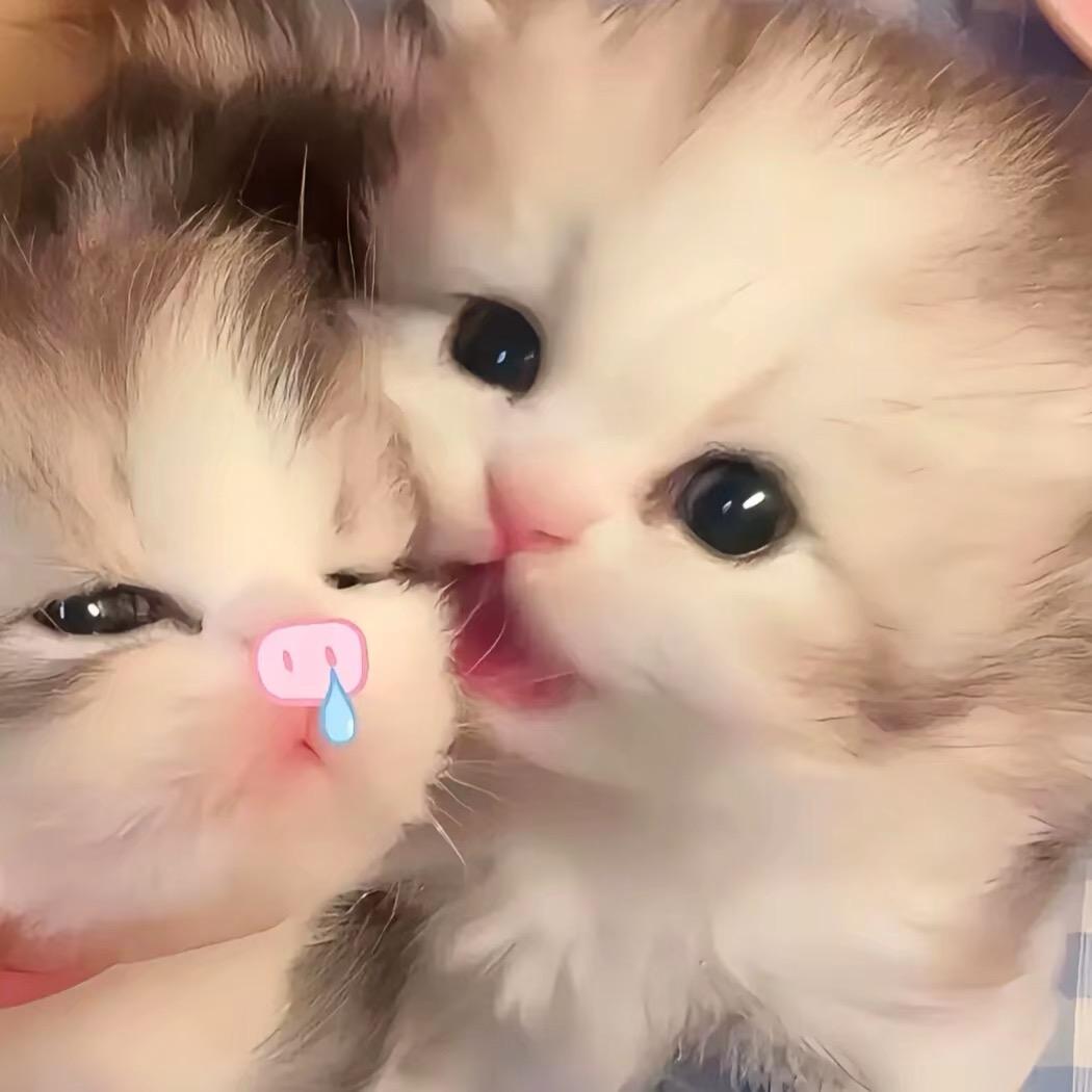 CU