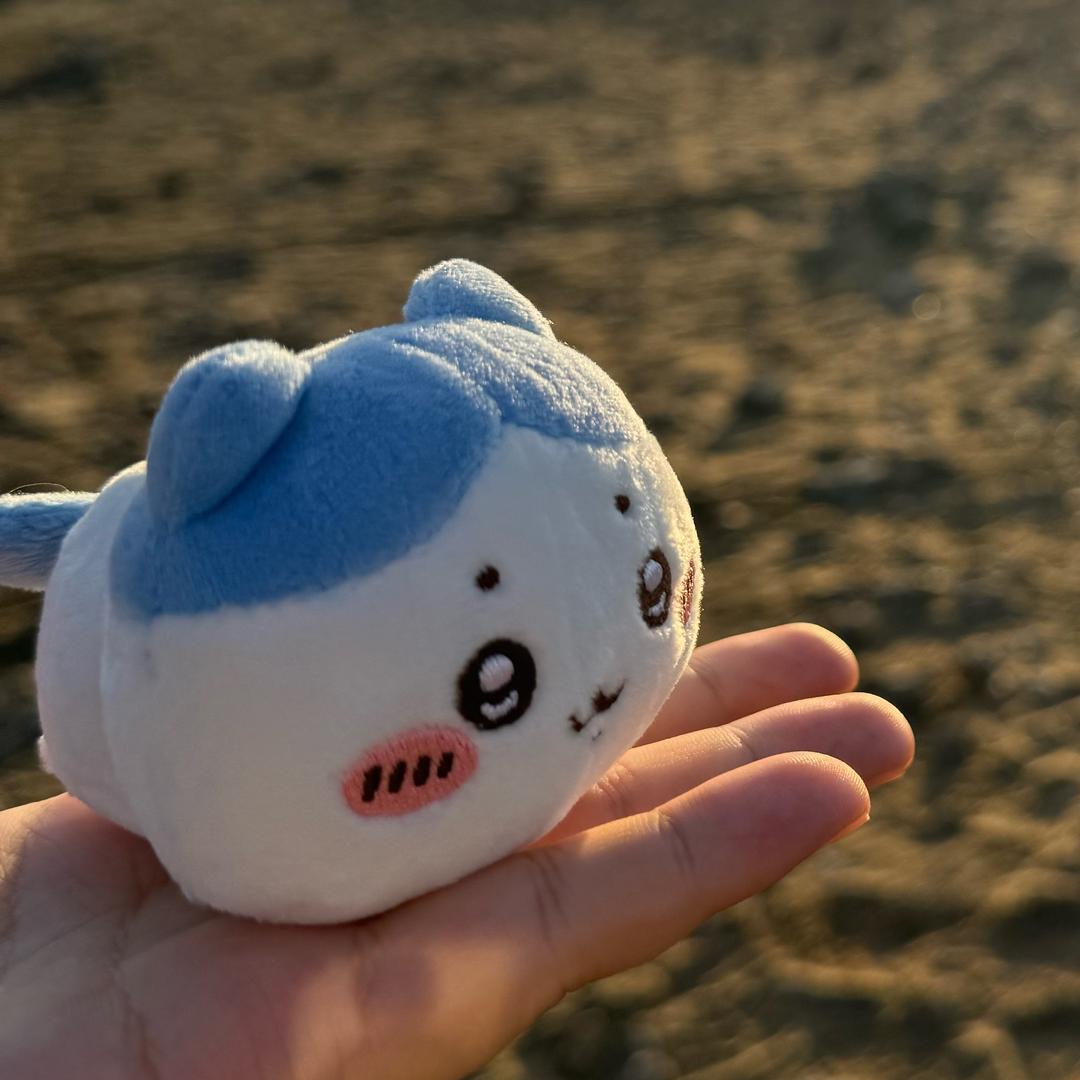 裸奔的鳗鱼🐟饭🍚
