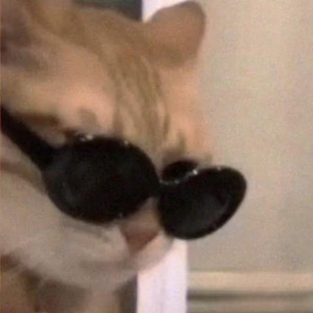 你吃罐罐时好美🐈