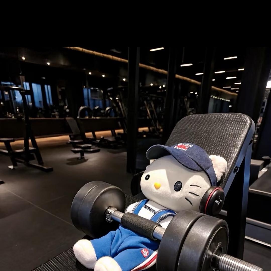 骨相の战争