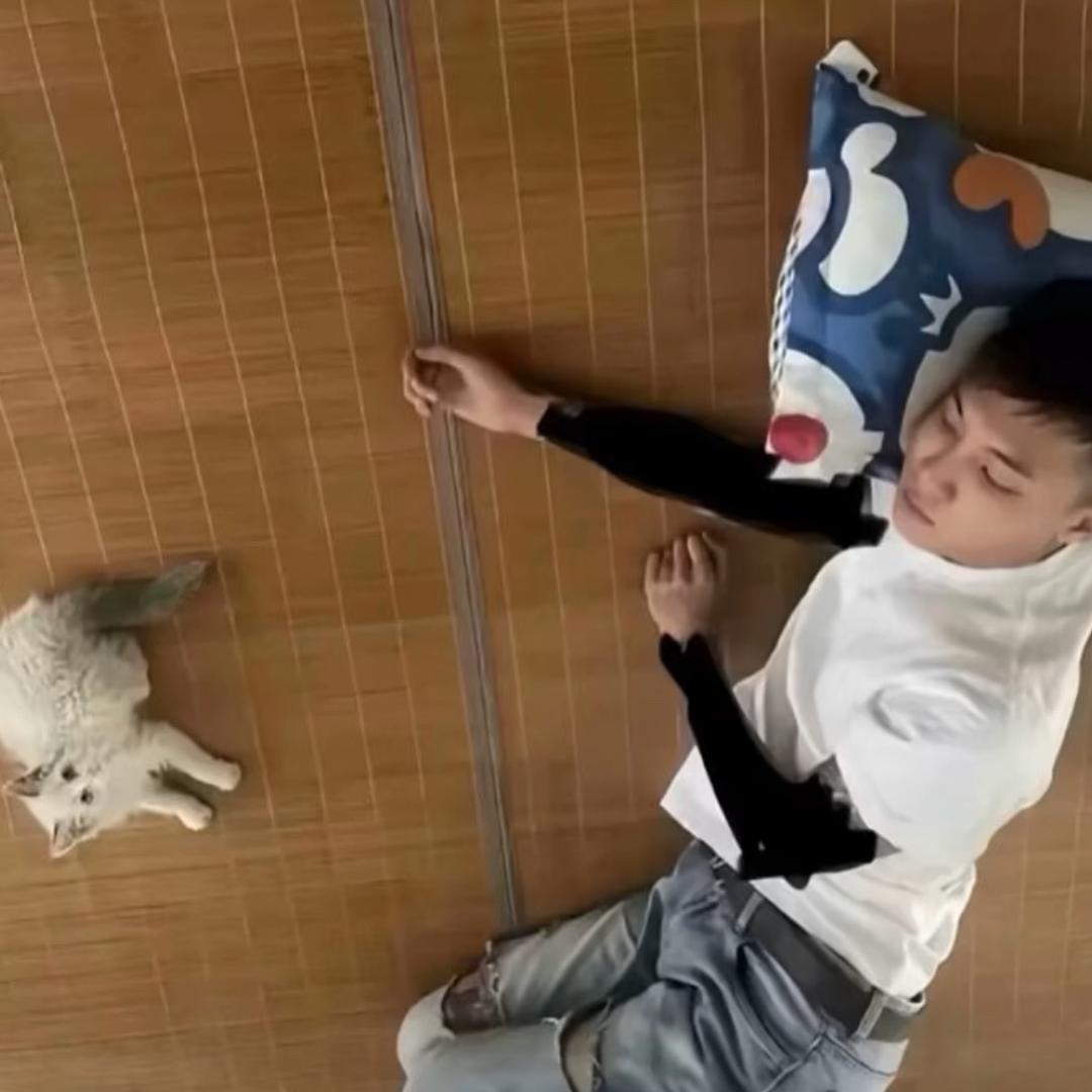 骑不快
