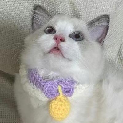 西西公主