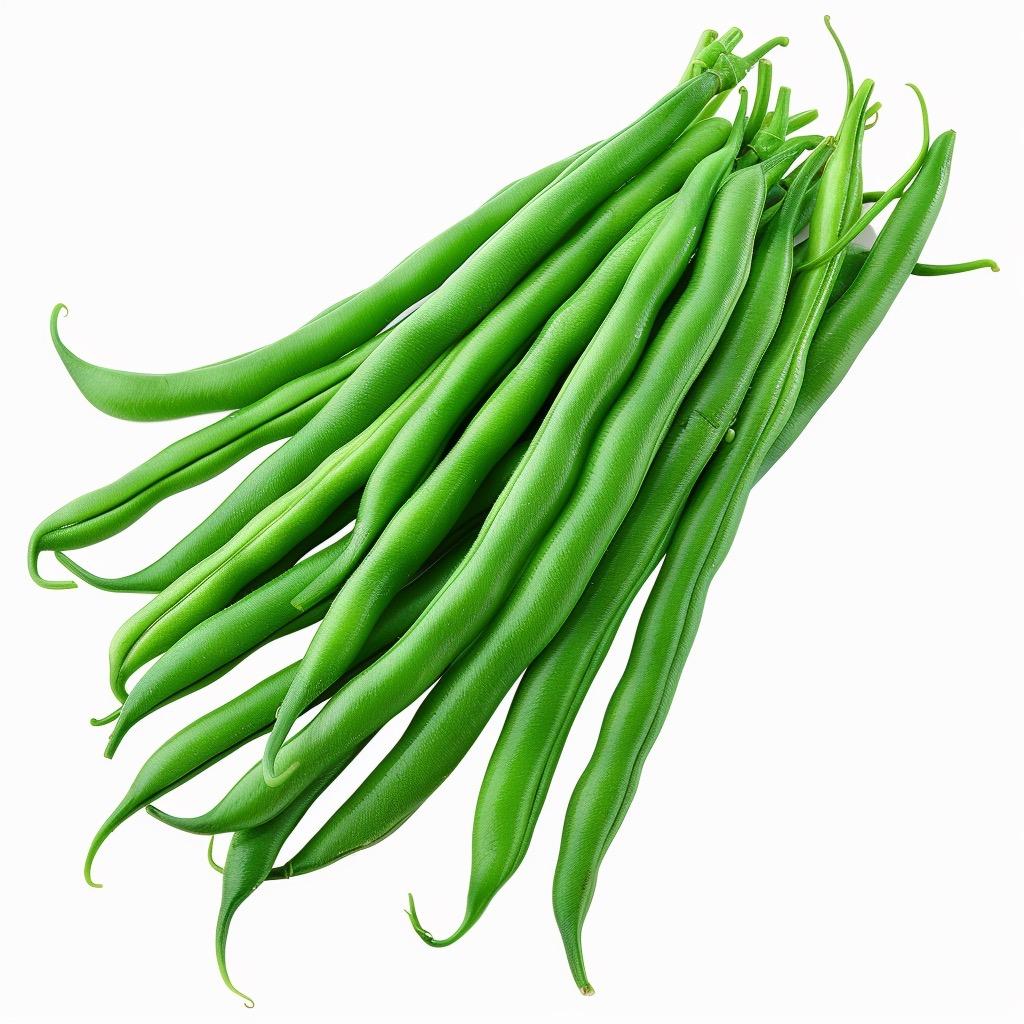 四季豆