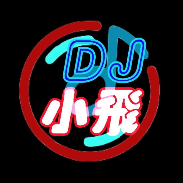 Dj小飛经典舞曲工作室