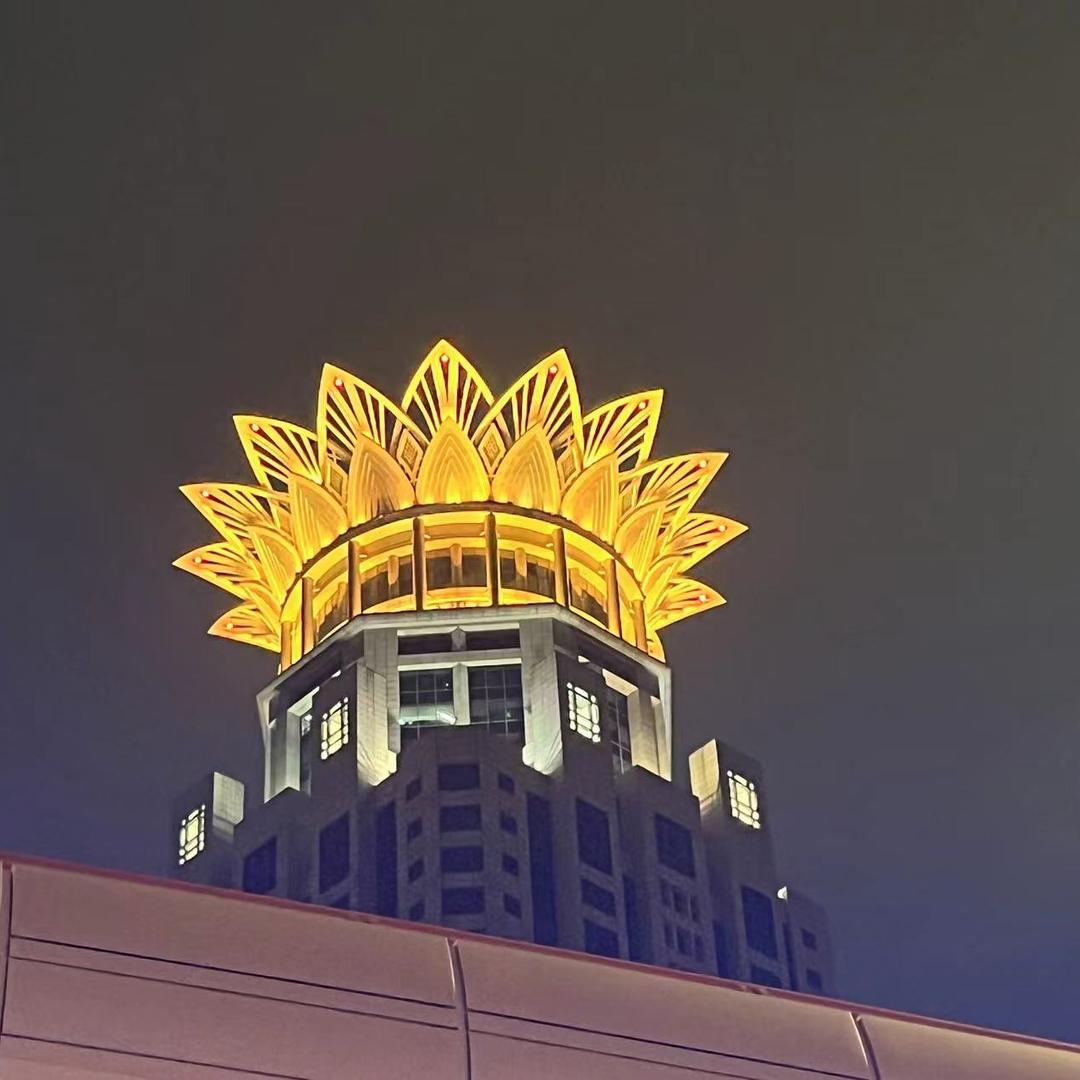 甘肃农产旱半夏严选