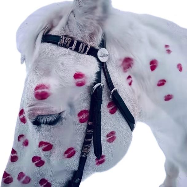 𝒷𝓁𝑜𝑜𝓂 𝒶𝓁𝓁t💋