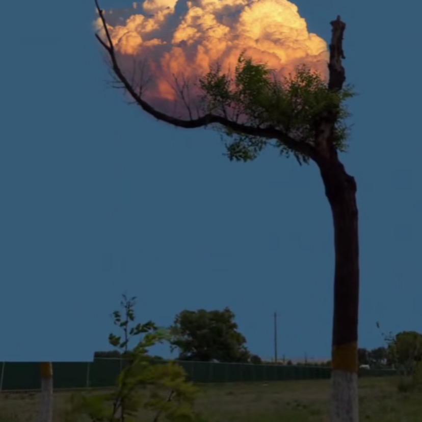 已重置ཚོ་དྲ་