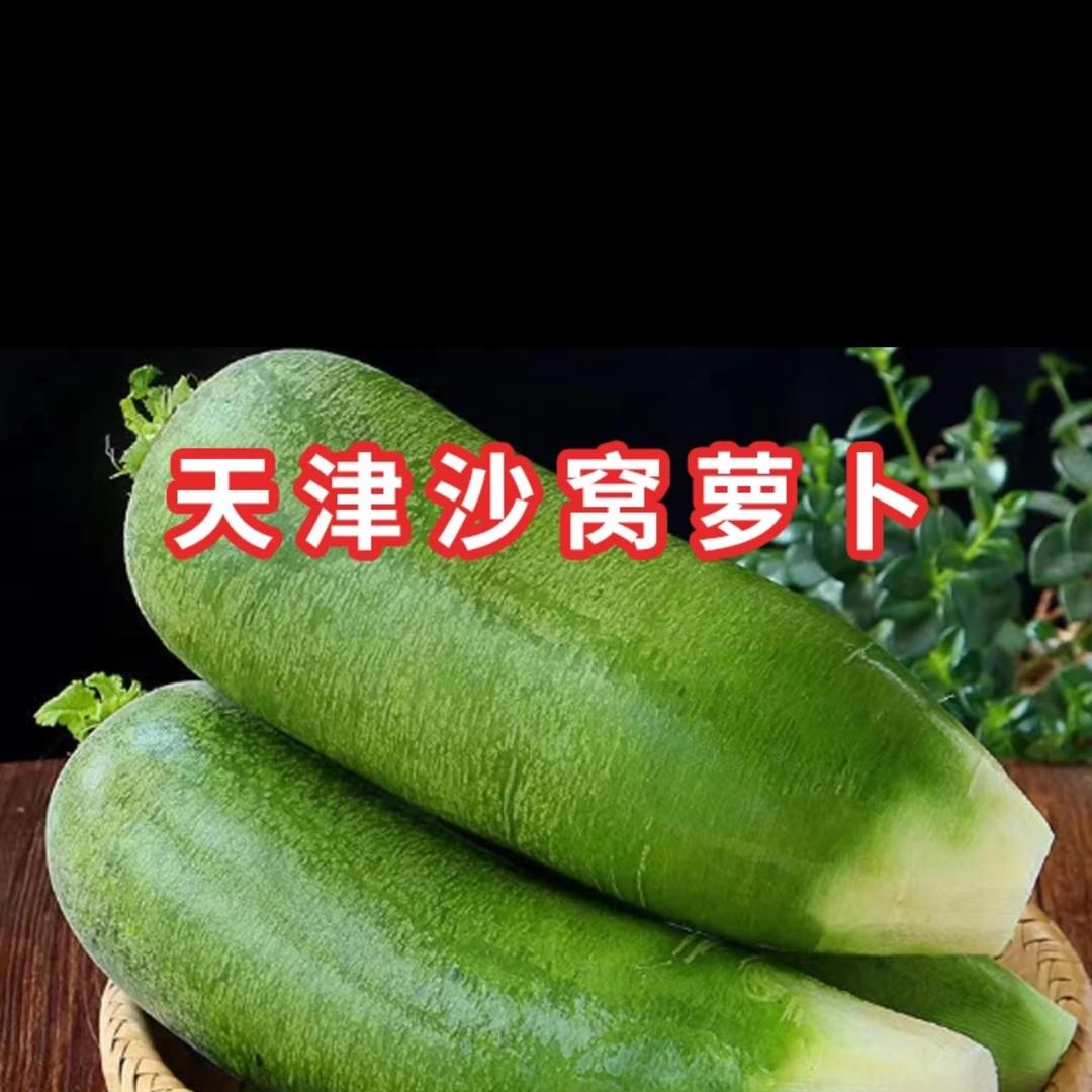 小胖鲜生沙窝萝卜