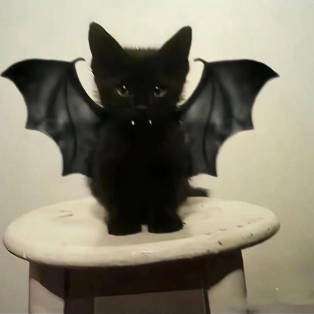 yikodevil