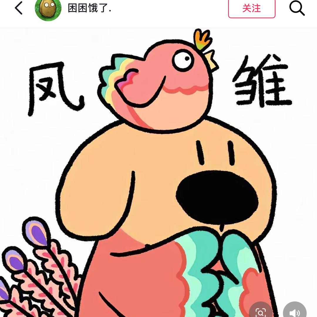 喂、放开那个女孩