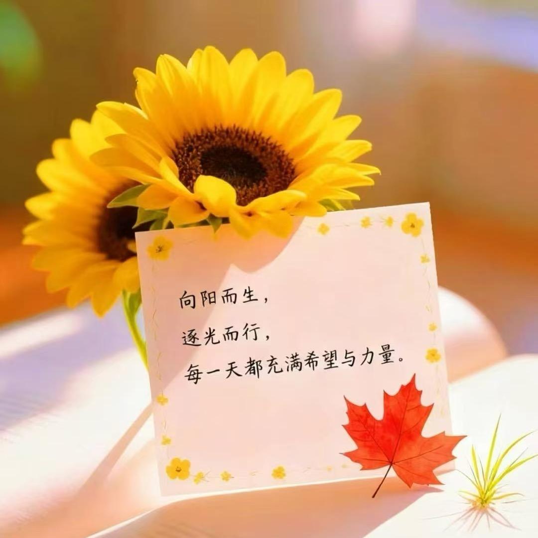 나 중 에（双十一特惠）