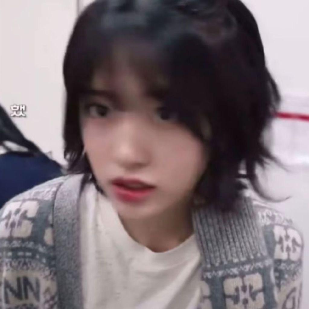 养氧羊吧