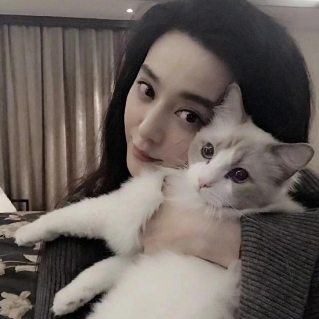 小哀