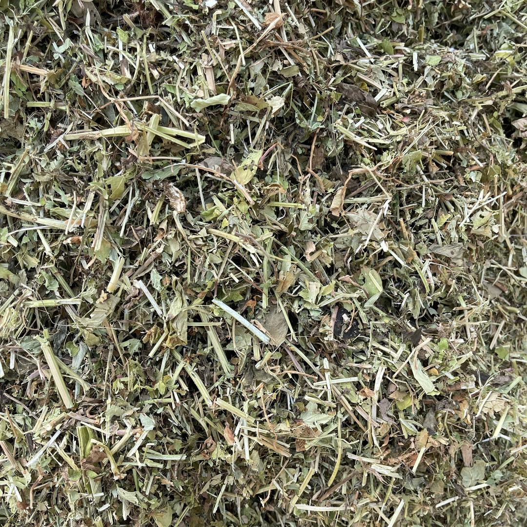 青青草叶
