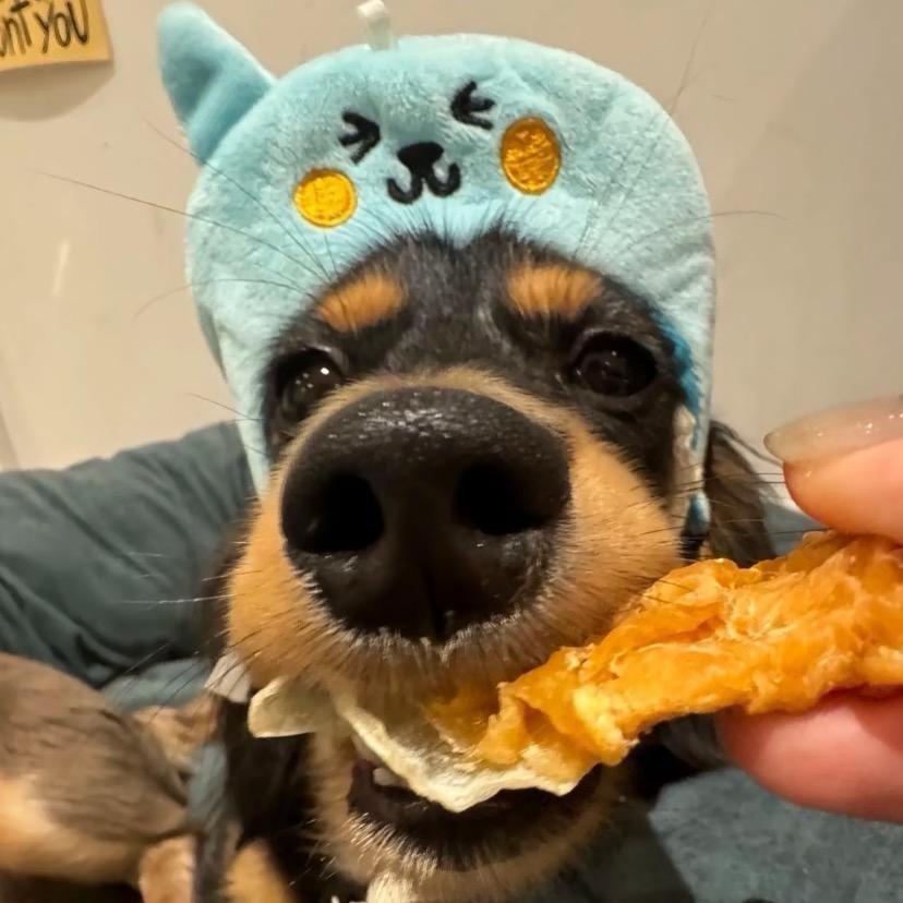 河拉k诶